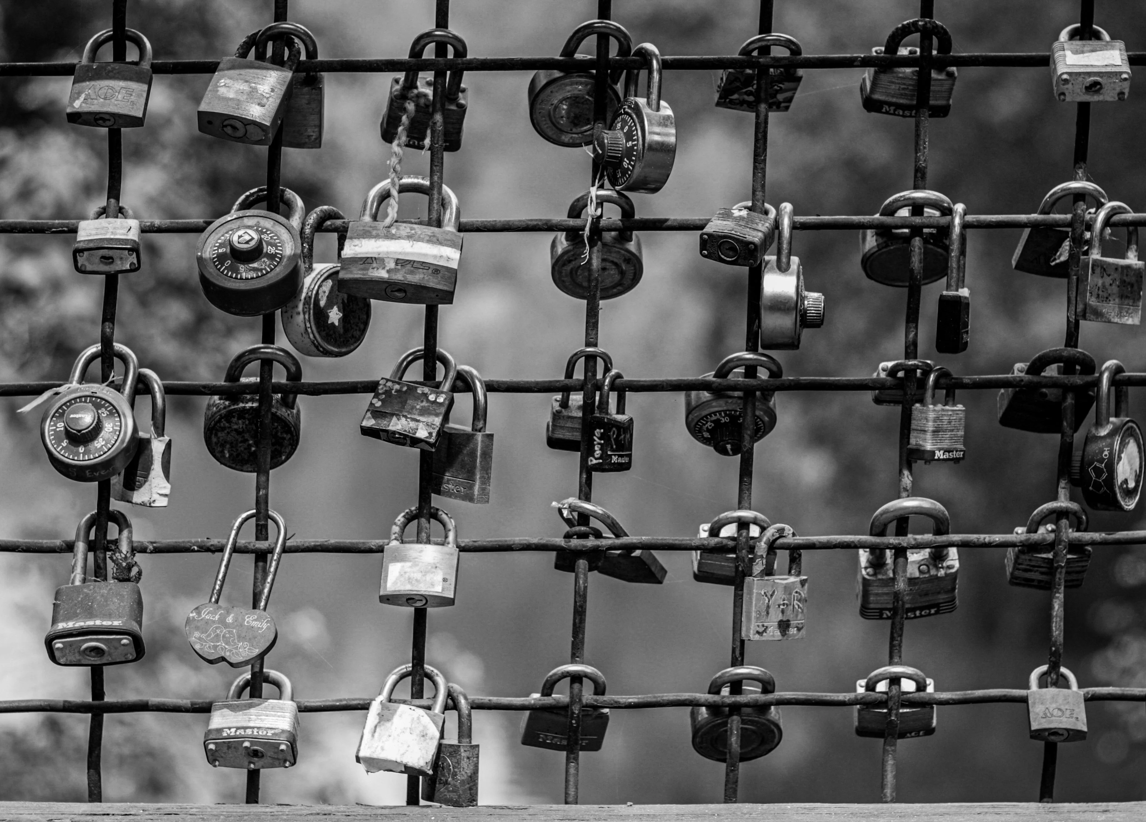 Photo by Parsoa Khorsand on Unsplash