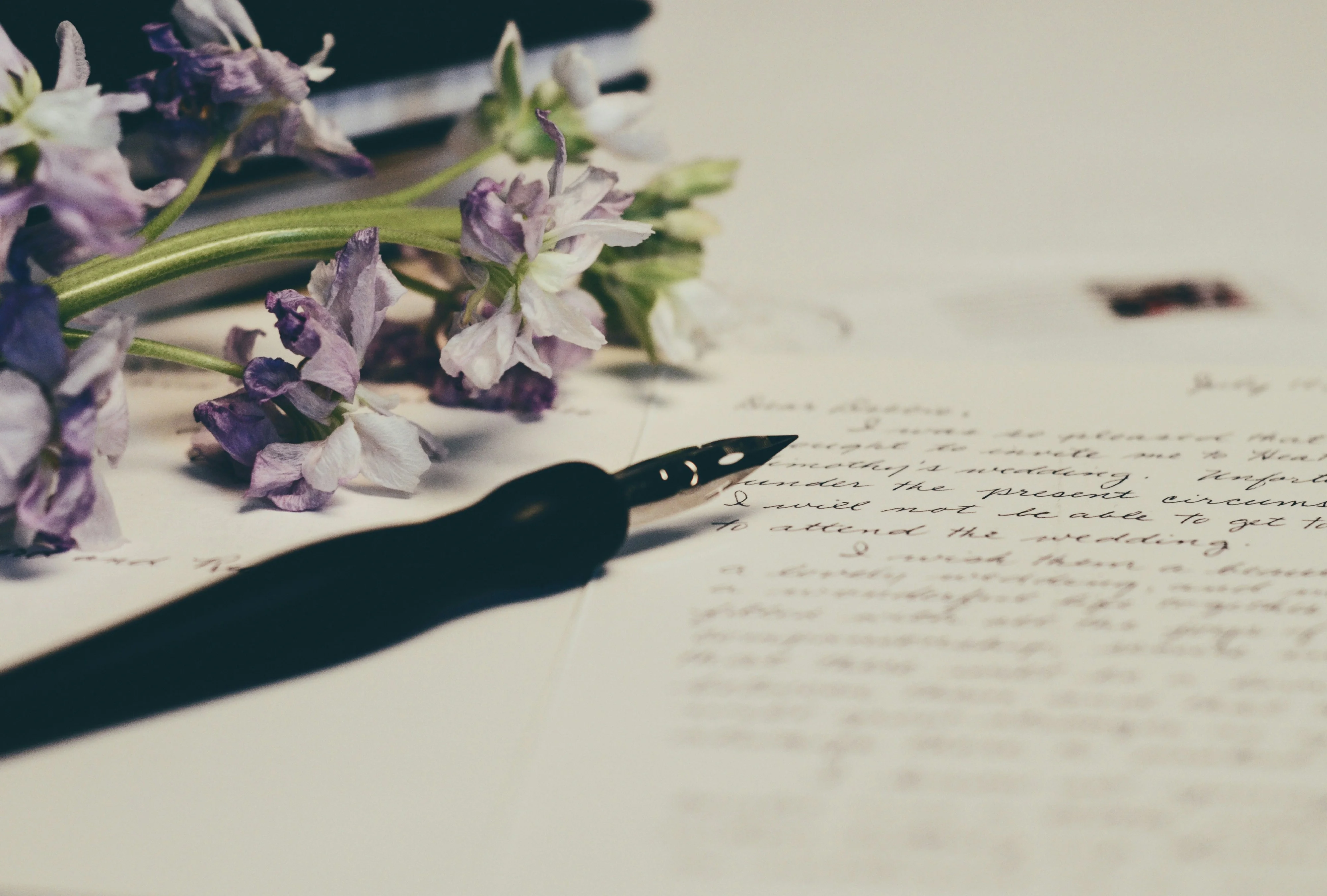 Photo by [Debby Hudson](https://unsplash.com/@hudsoncrafted?utm_source=unsplash&utm_medium=referral&utm_content=creditCopyText) on [Unsplash](https://unsplash.com/photos/purple-flowers-on-paper-DR31squbFoA?utm_source=unsplash&utm_medium=referral&utm_content=creditCopyText)